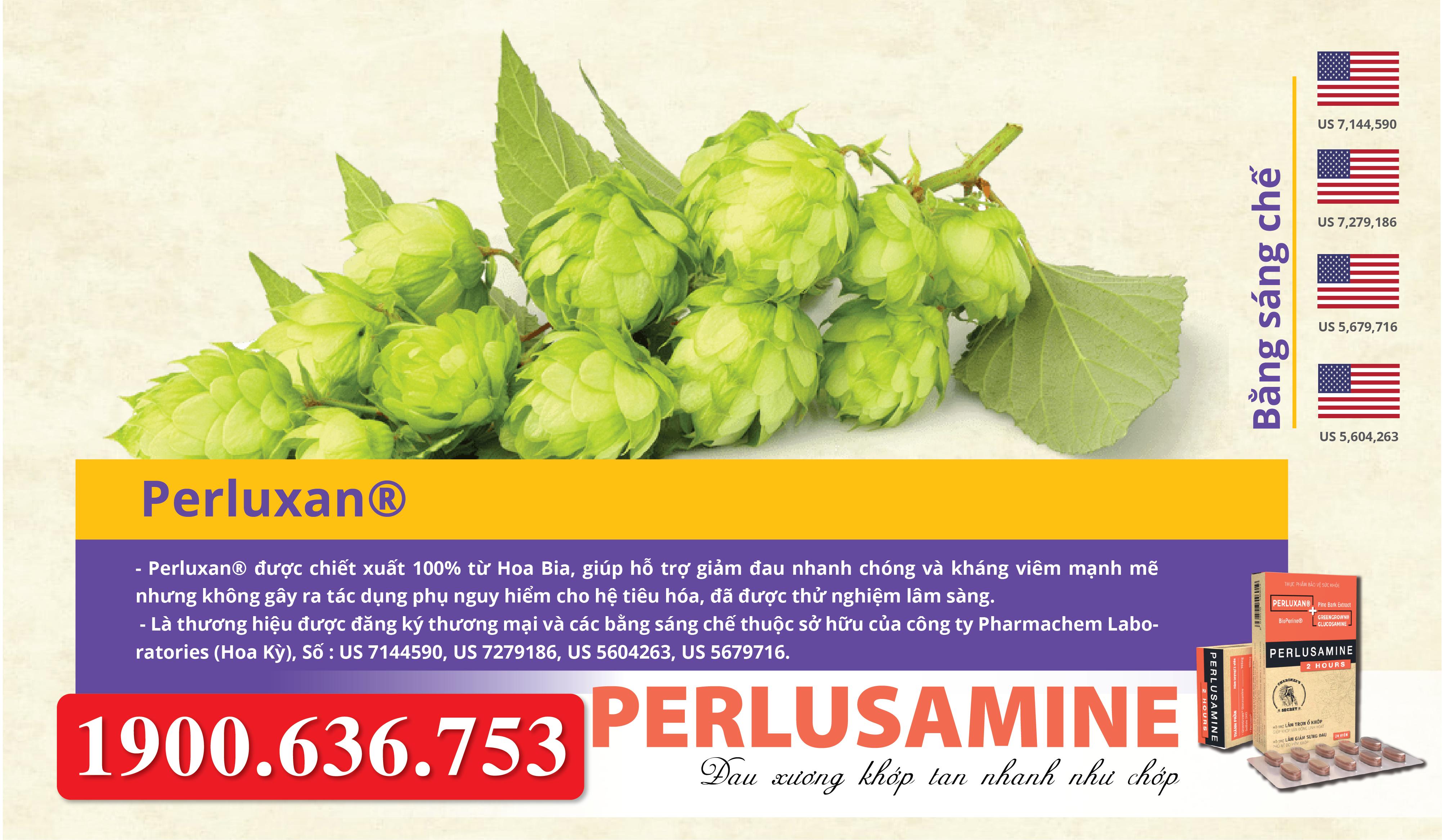 Chiết xuất hoa bia – Thành tựu mới chăm sóc khớp toàn diện