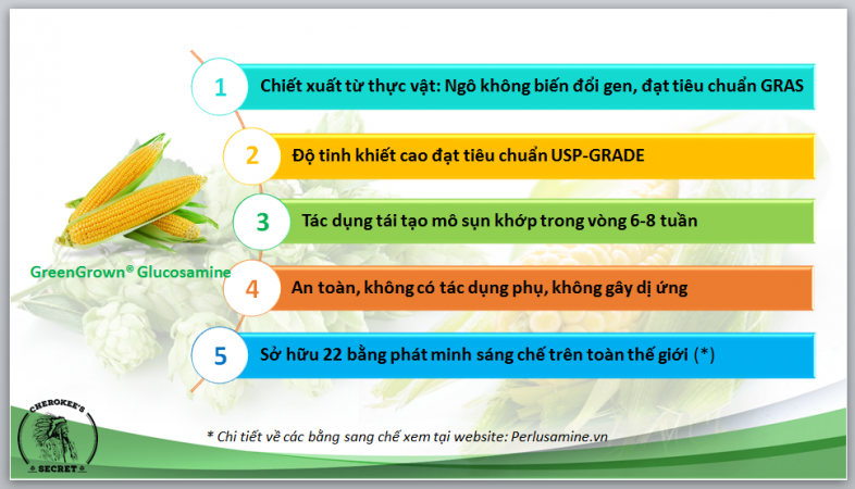 Lựa chọn glucosamine dựa trên các tiêu chí nào